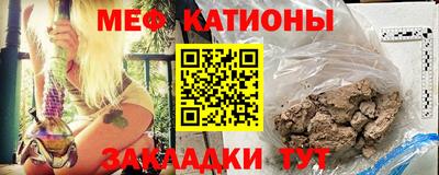 стаф Донской