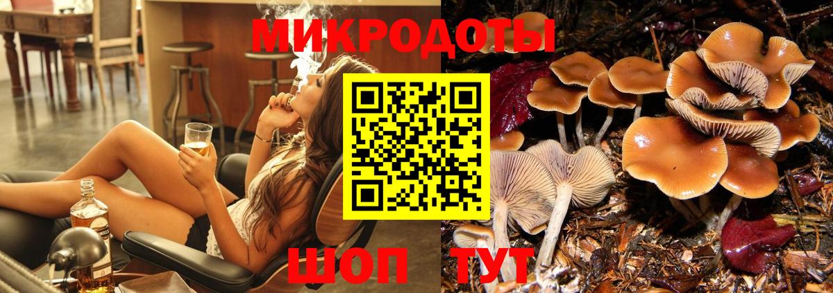 Галлюциногенные грибы мицелий  закладка  Коркино  Вход с VPN 