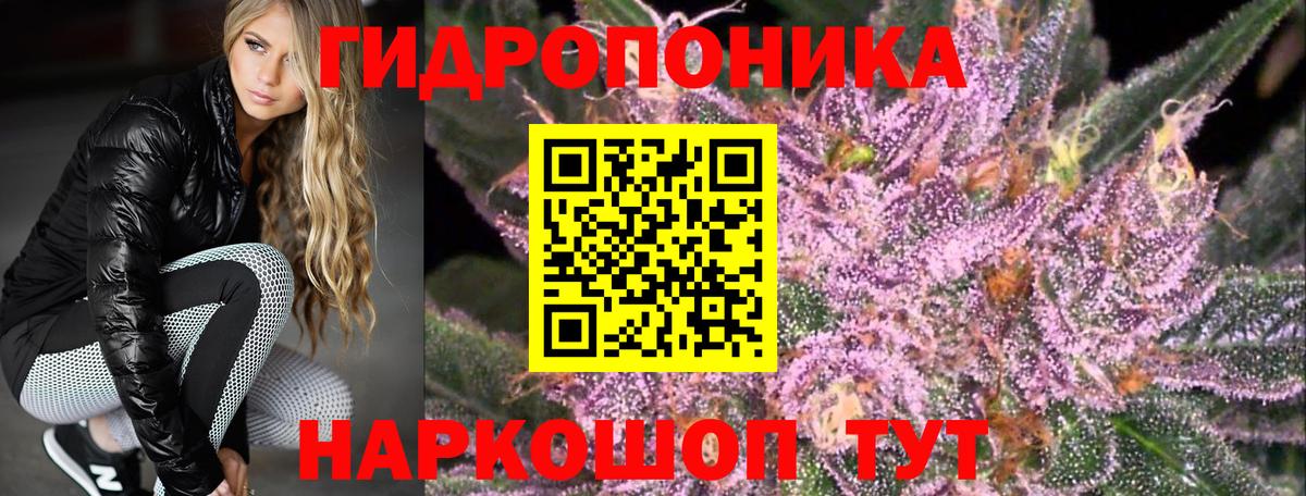 Канабис OG Kush Коркино